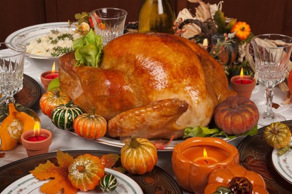 HOW TO PROTECT YOUR SINK, AND SAVE THANKSGIVING